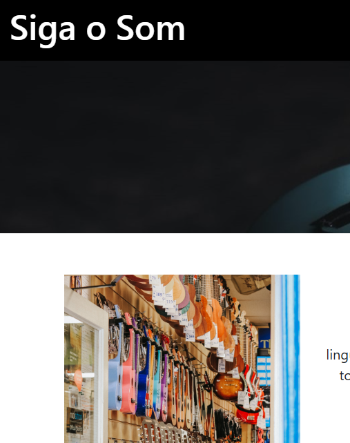 Site Siga o Som